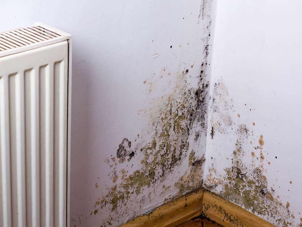 vice caché maison infiltration d'eau en Arièges 